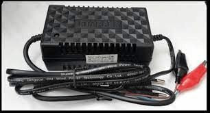 12V 2A Gamistar Pulse Charger